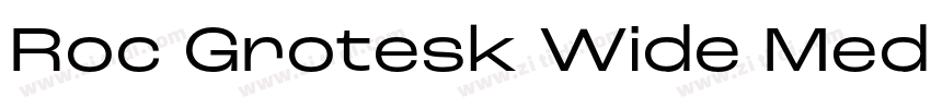 Roc Grotesk Wide Med字体转换